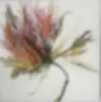Art abstrait floral L'enthousiasme de l'artiste encaustique québécoise Cardem