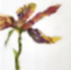 art floral abstrait L'Autre de l'artiste encaustique québécoise Cardem