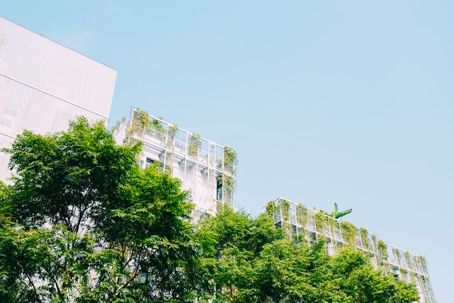 Green Architecture myGiulia