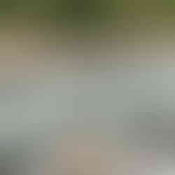 Himalaya River Ganges Frau