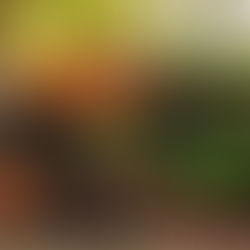 Mit Slowfood zu mehr Geschmack