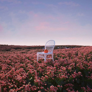 chair in flower field art by Yomagick