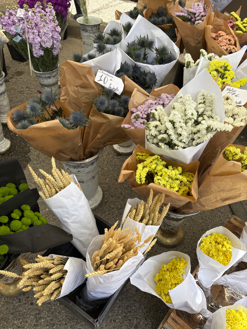Am Markt in Lourmarin Blumen im Frühling Provence / Luberon