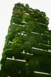 grüne Fassade