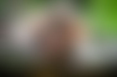 Chase Sapphire Preferred—The Best Credit Card Just Got Better!