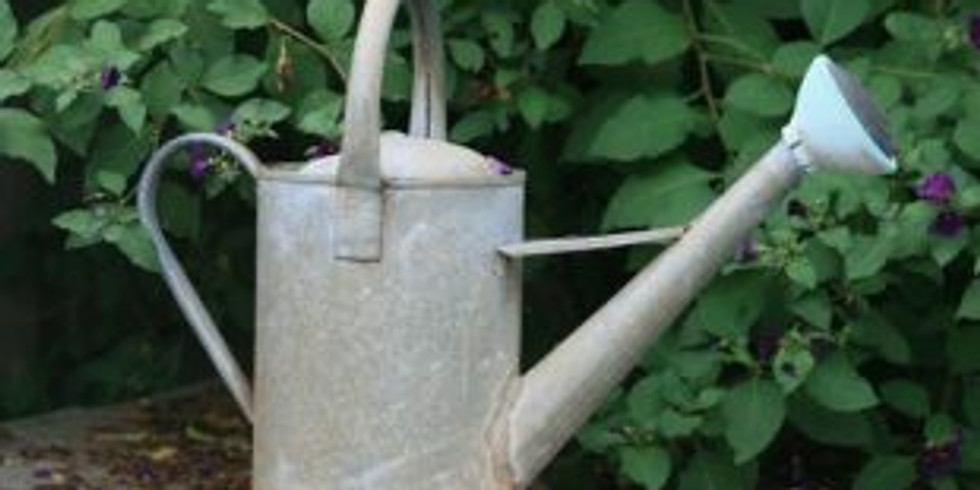 Watermillock and Matterdale Gardening Group £3 - Tuesday 16th November 2pm - Watermillock Village Hall