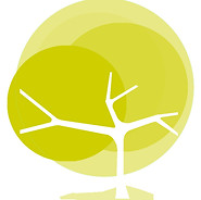 03trees.jpg