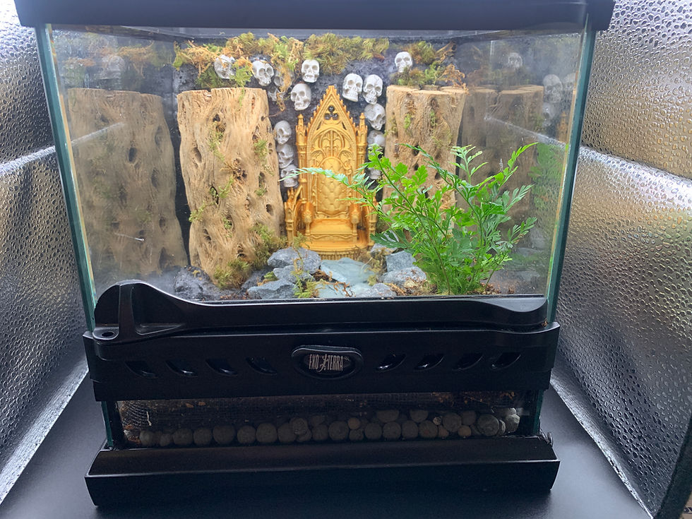 Thumbnail: Citadel Series Bioactive Enclosure (Medium)
