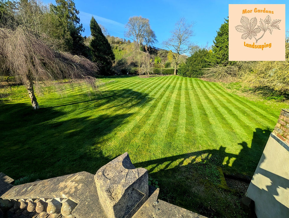 Lawn Stripes
