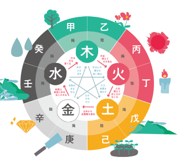 薬膳の基本は中医学