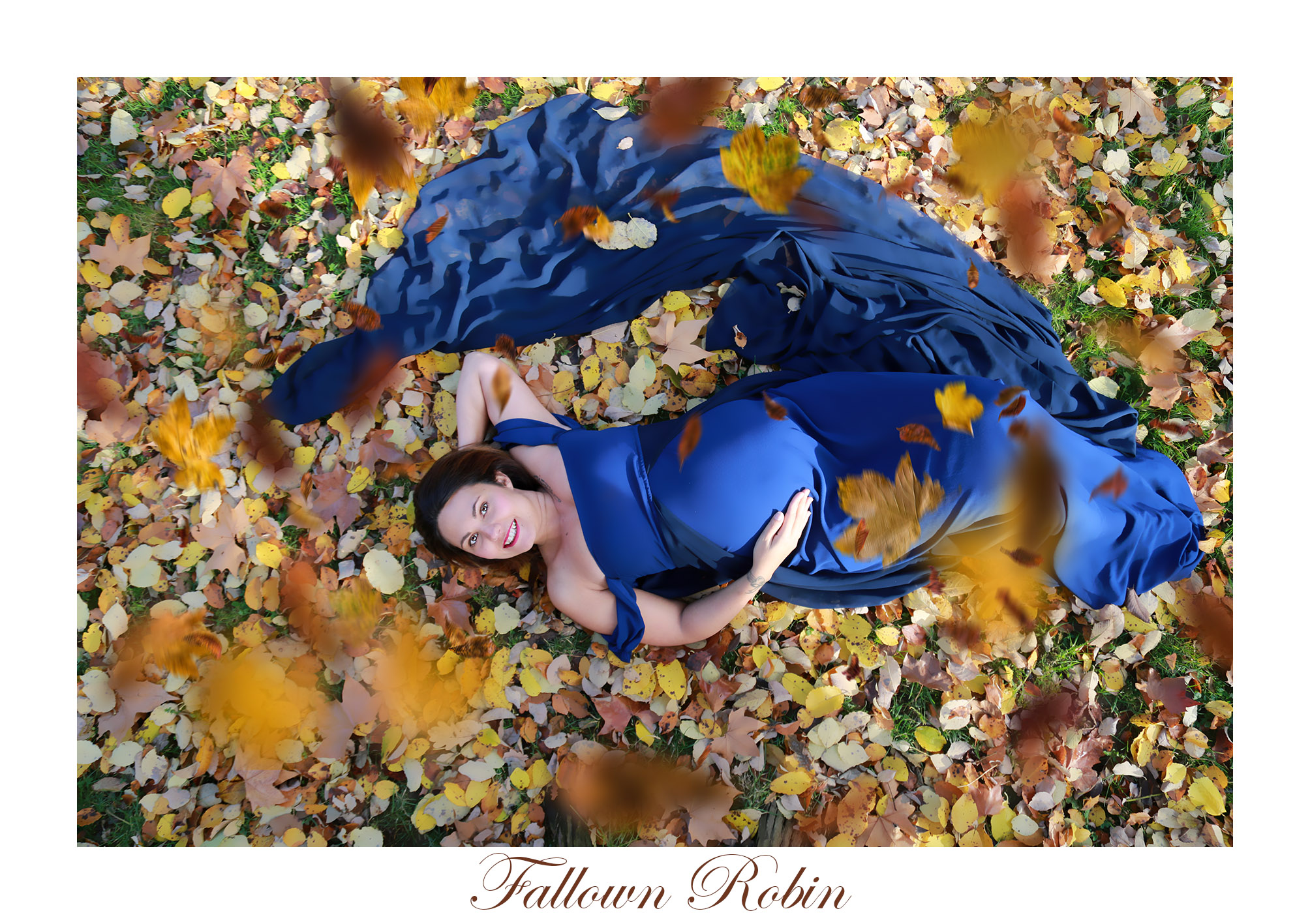 Fallown Robin Photographe