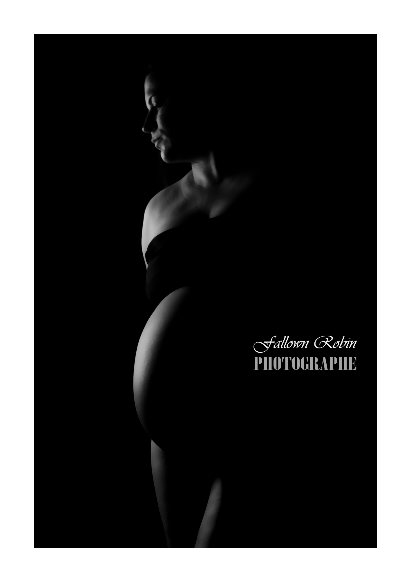 Fallown Robin Photographe