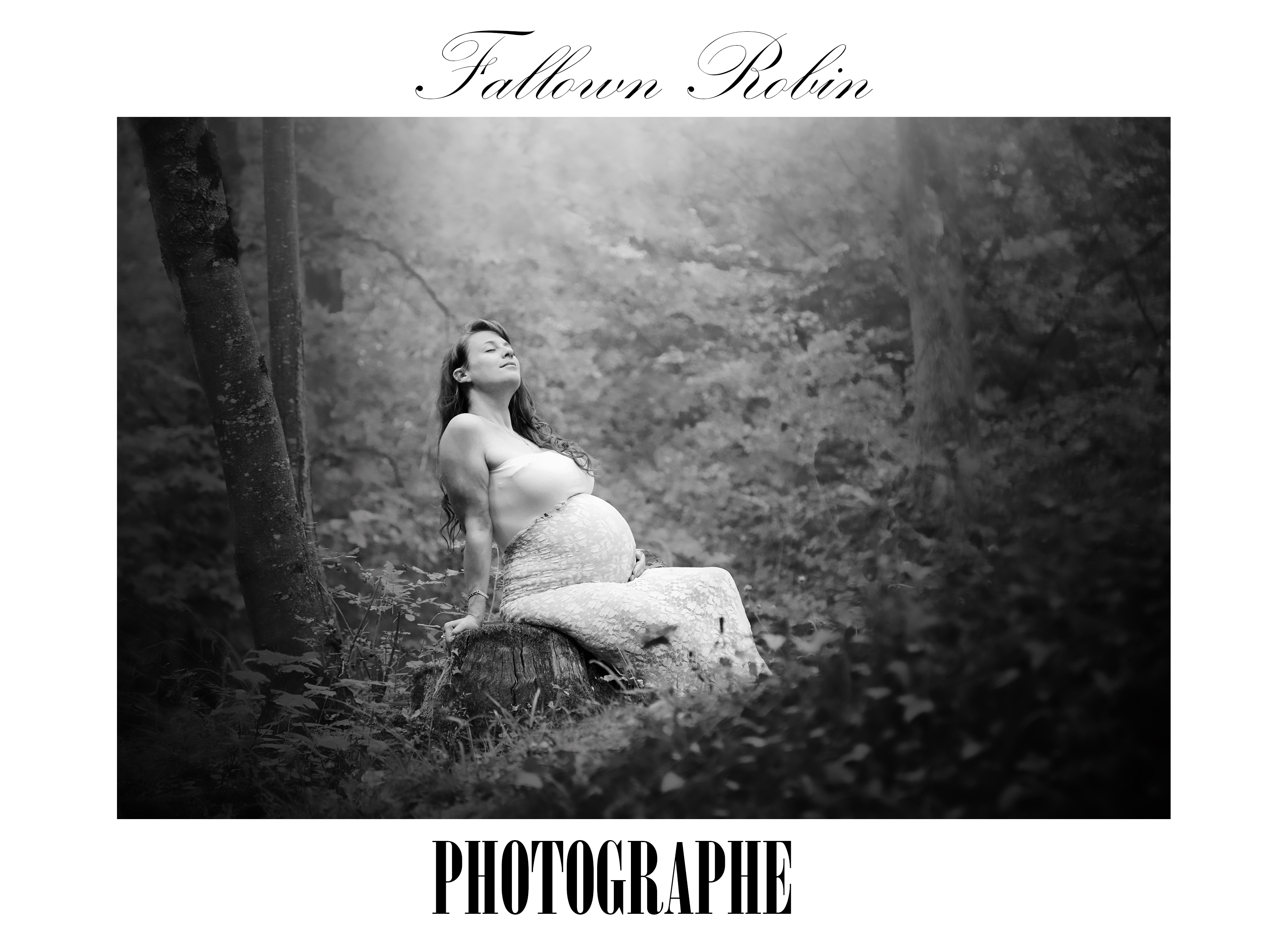 Fallown Robin Photographe