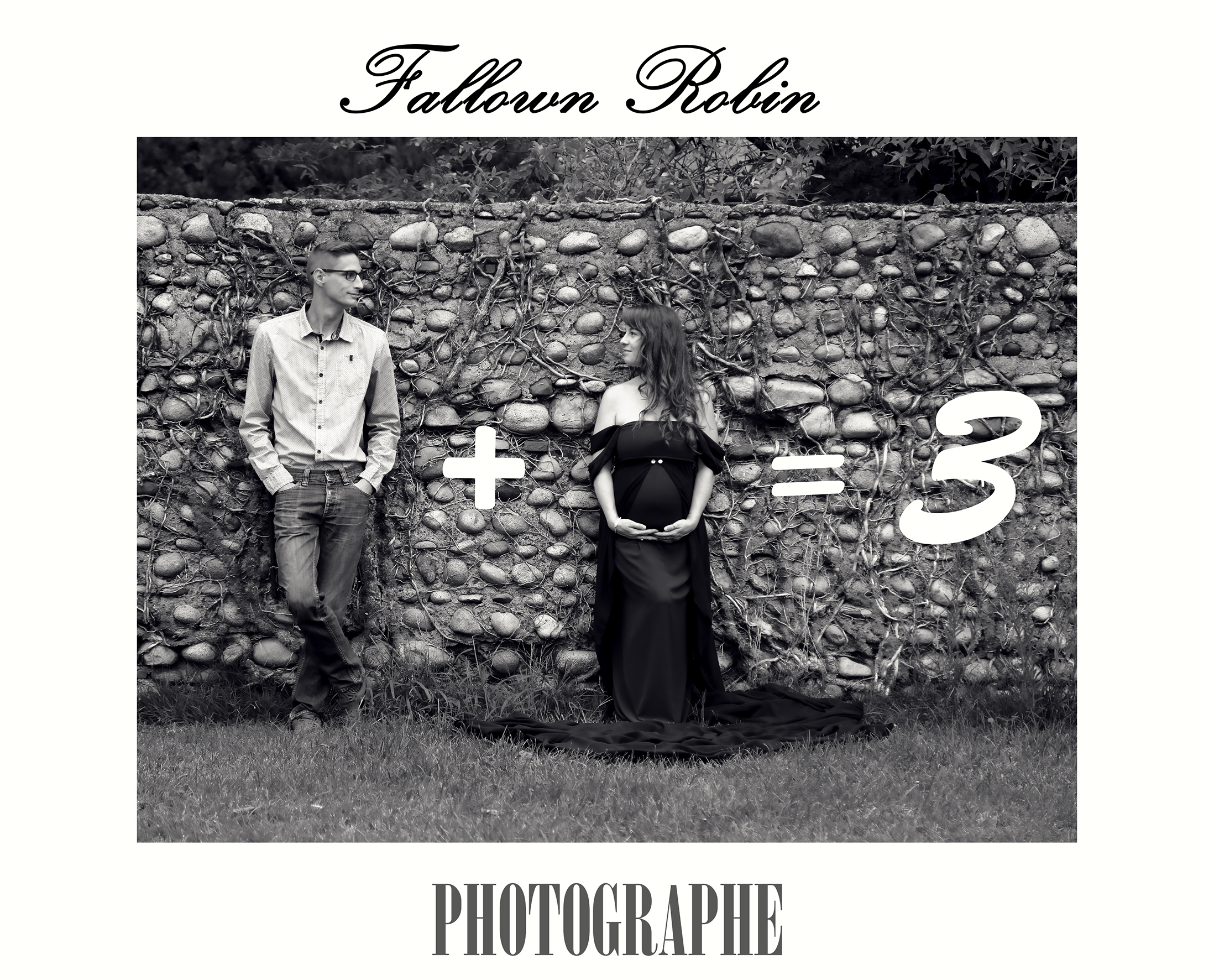 Fallown Robin photographe
