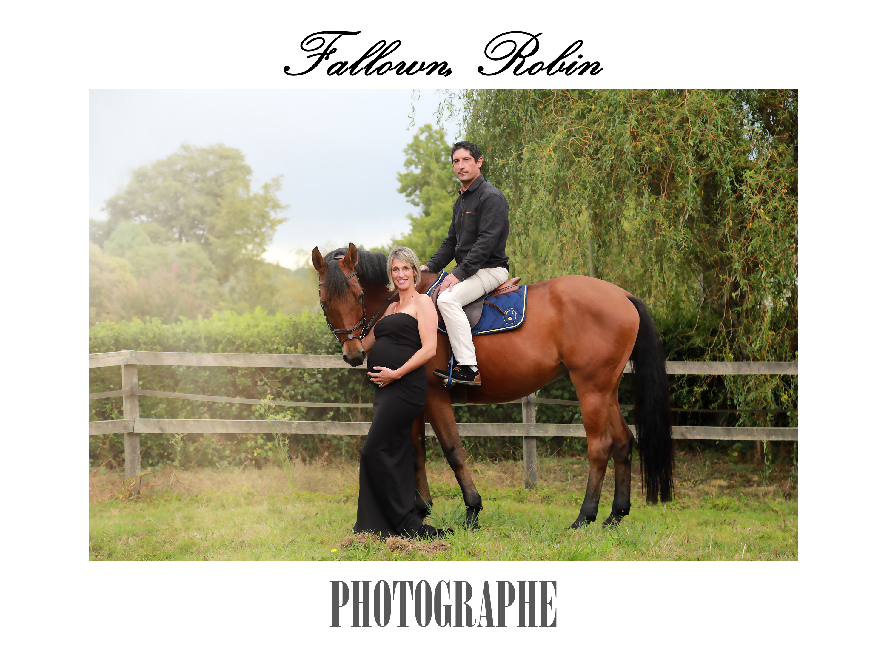Fallown Robin Photographe