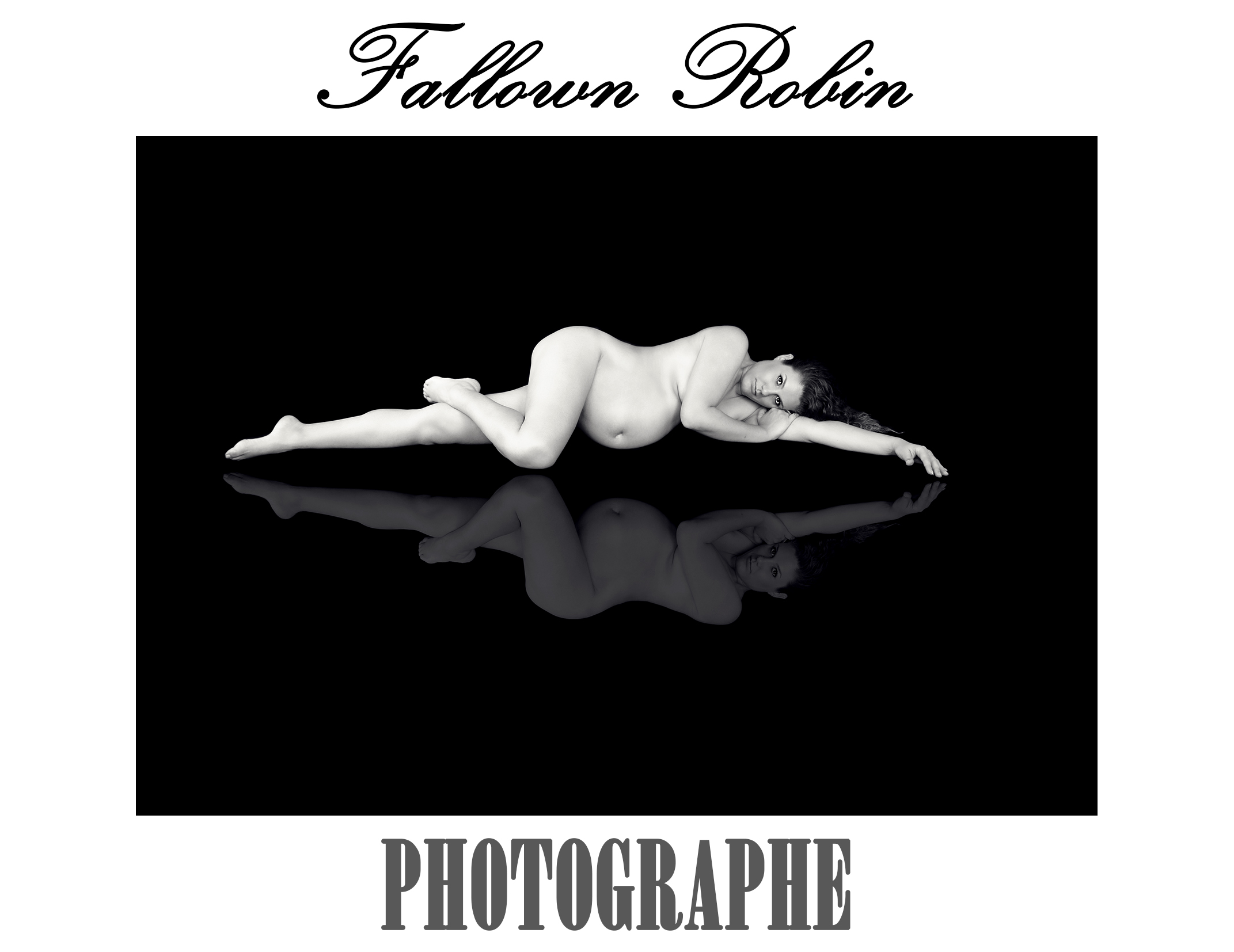 Fallown Robin Photographe