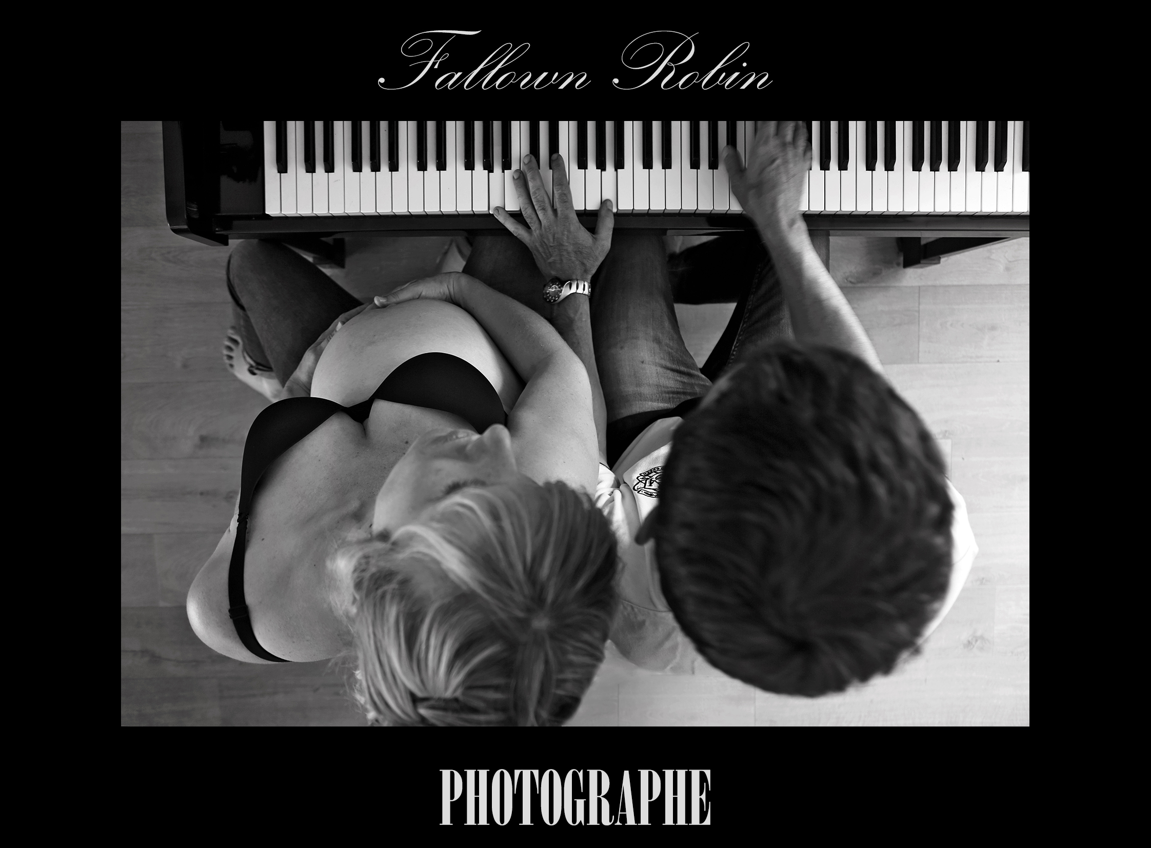 Fallown Robin photographe