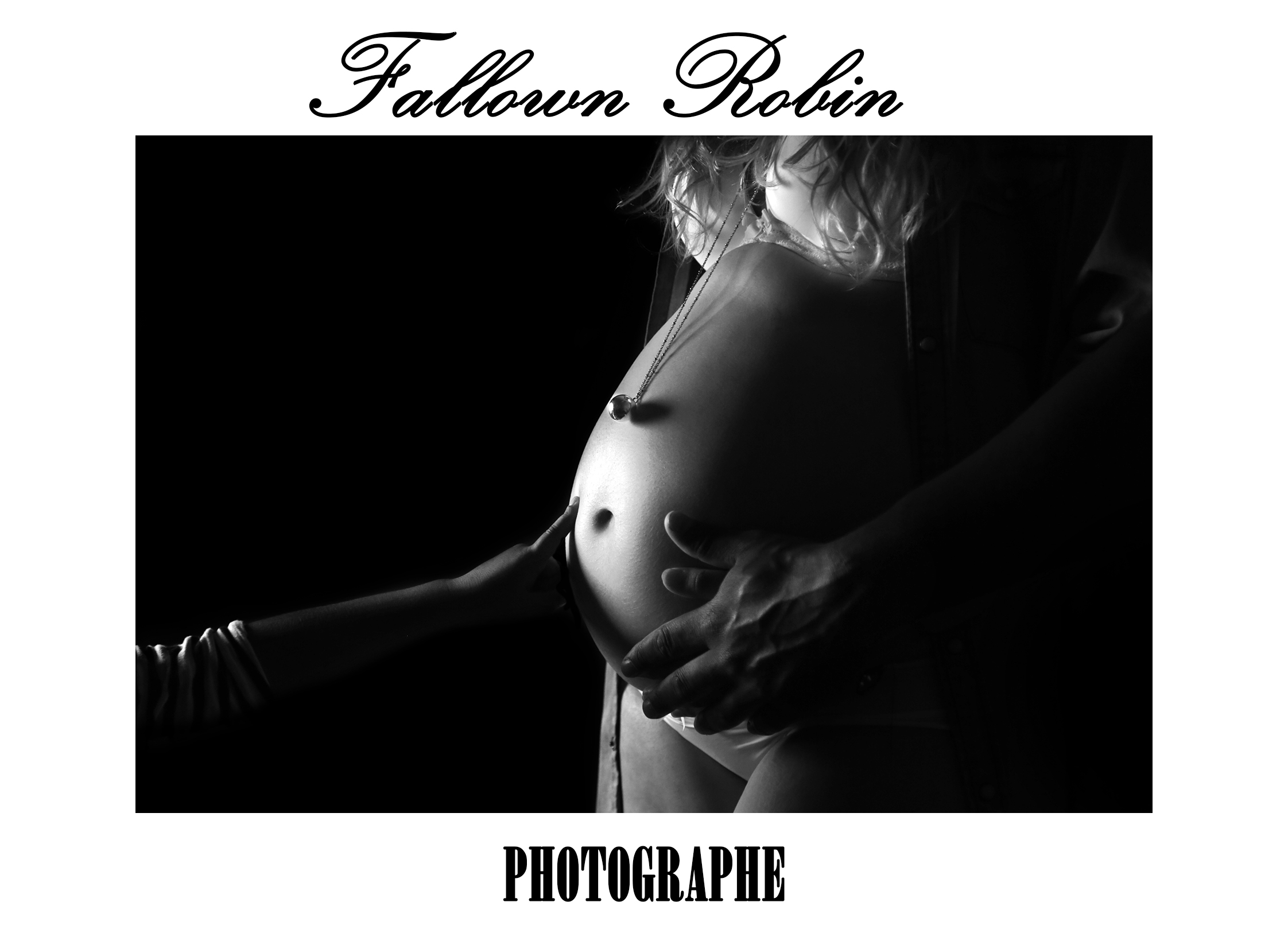 Fallown Robin photographe