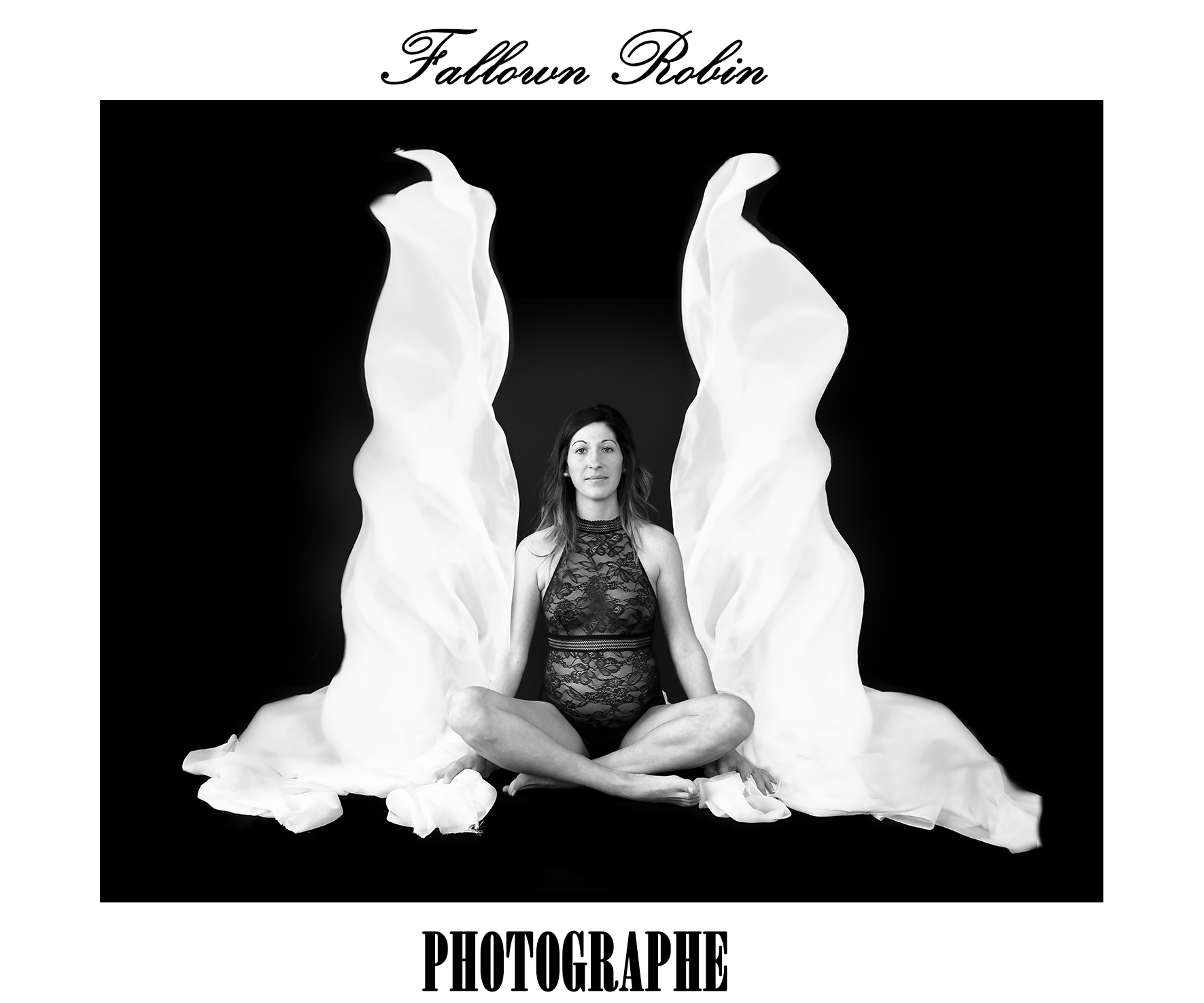 Fallown Robin Photographe