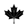 create vector icon of canada maple leaf 