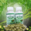 Thumbnail: MORINGA TABLET