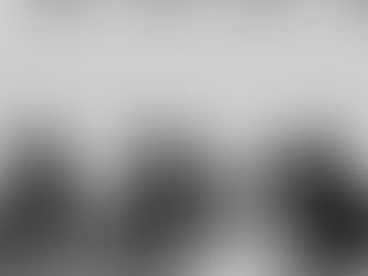 表現の味わい　雪