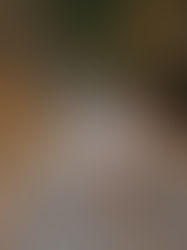 couple holding their baby with dog along fall path