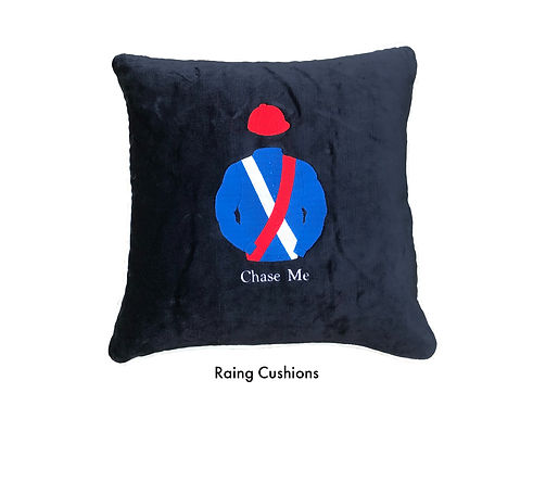 Chase Me with title for website_edited.jpg