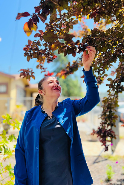 WhatsApp Image 2024-06-24 at 11.13.51 AM (1).jpeg