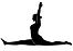 Sandra Duprat Yoga Split Icon