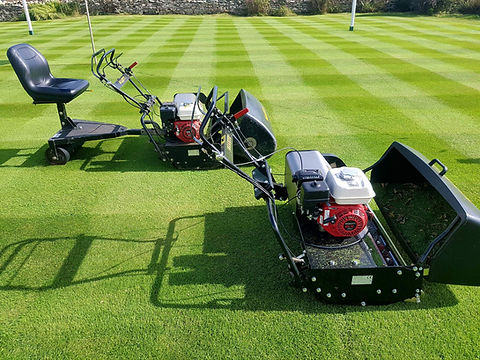 Buffalo34-lawn-pattern-2_f8bdb47d-8752-4