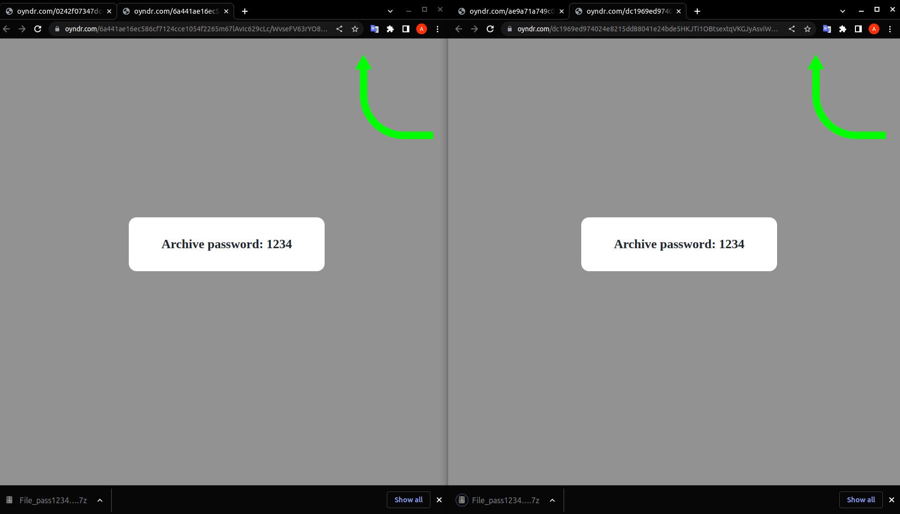 Password-protected 7Z archive with password 1234