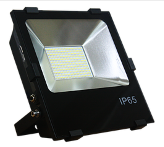 FORTIS FLOODLIGHT