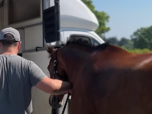 BEHIND THE SCENES OF AN INTERNATIONAL EXPORT