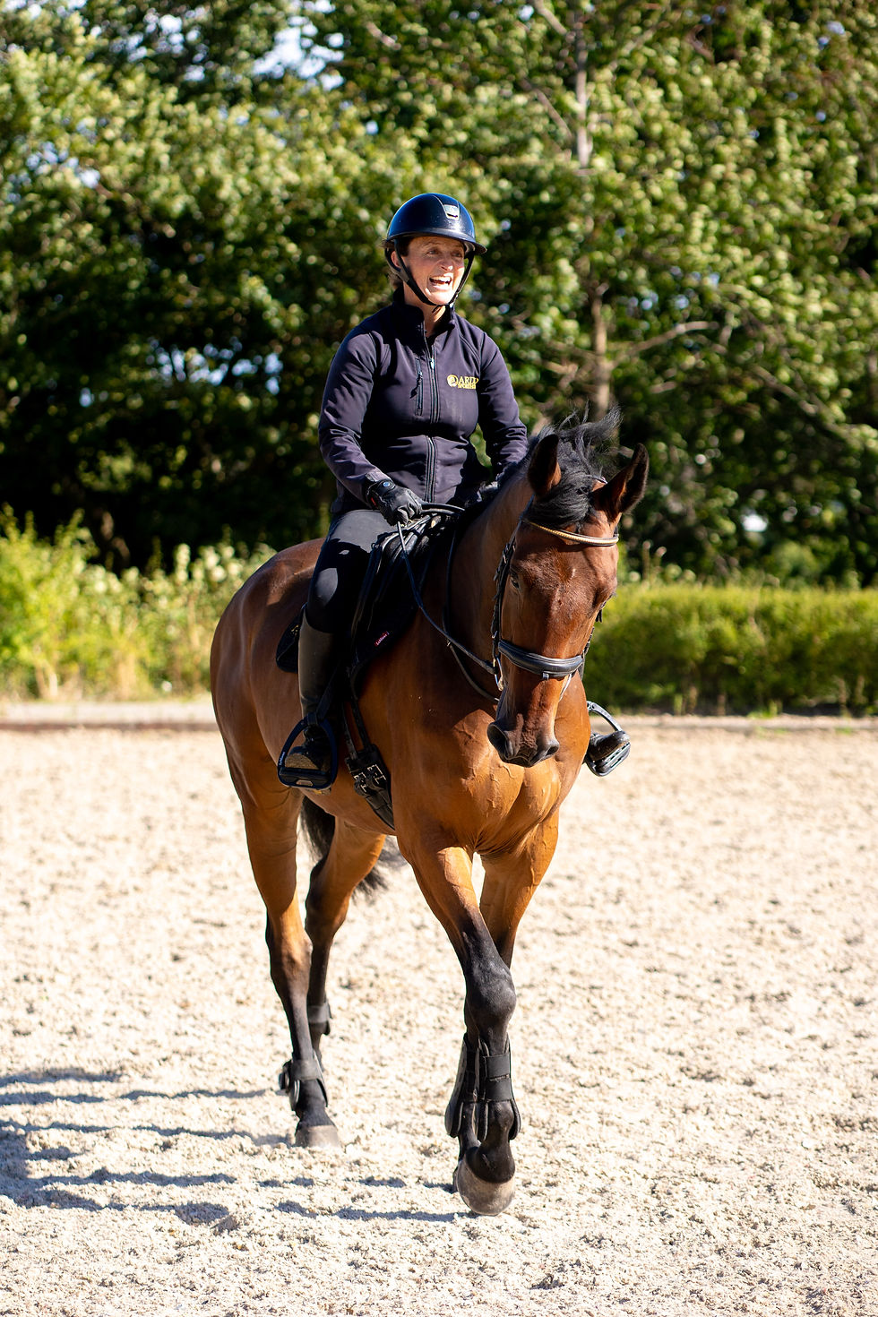 horse walking calmly in sand arena