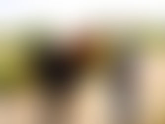 MONOSHIELD EQUINE: TRANSFORMING EQUINE HEALTH AND PERFORMANCE