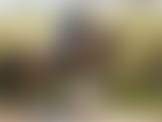 ARDEO ON Q WINNER AT BALMORAL QUALIFIER