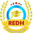 Logo de REDH Flyer_edited.png
