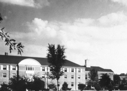 Screenshot 2025-03-04 at 8.31.03 PM