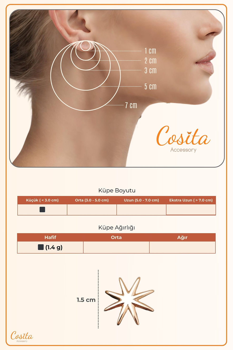 Küçük resim: Rose Minimal Kuzey Yıldızı Bir Düz Bir Taşlı Küpe