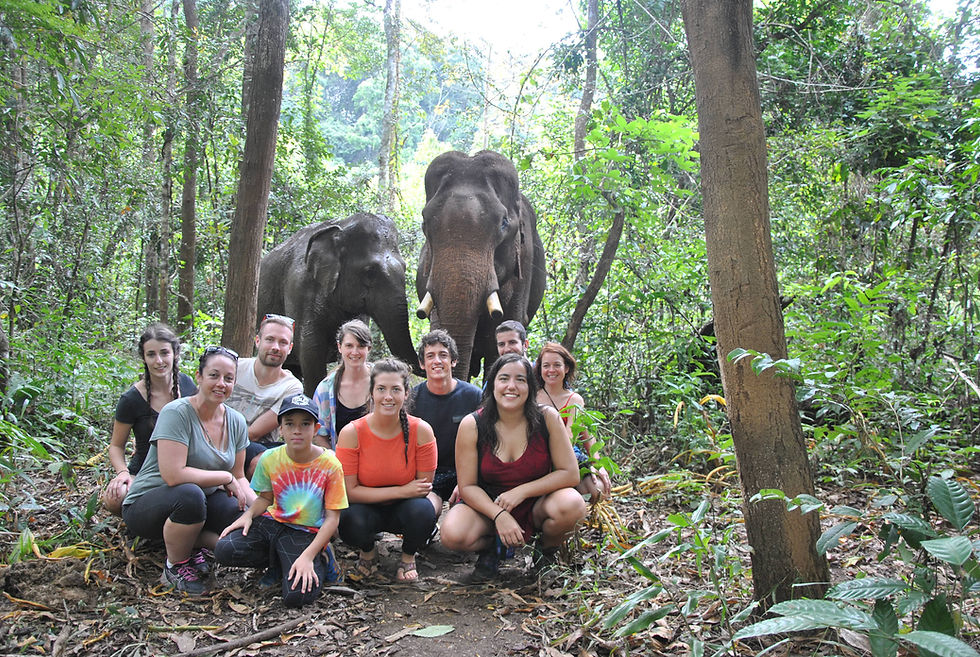Cambodia-Group-Wildlife-Safaris.jpg