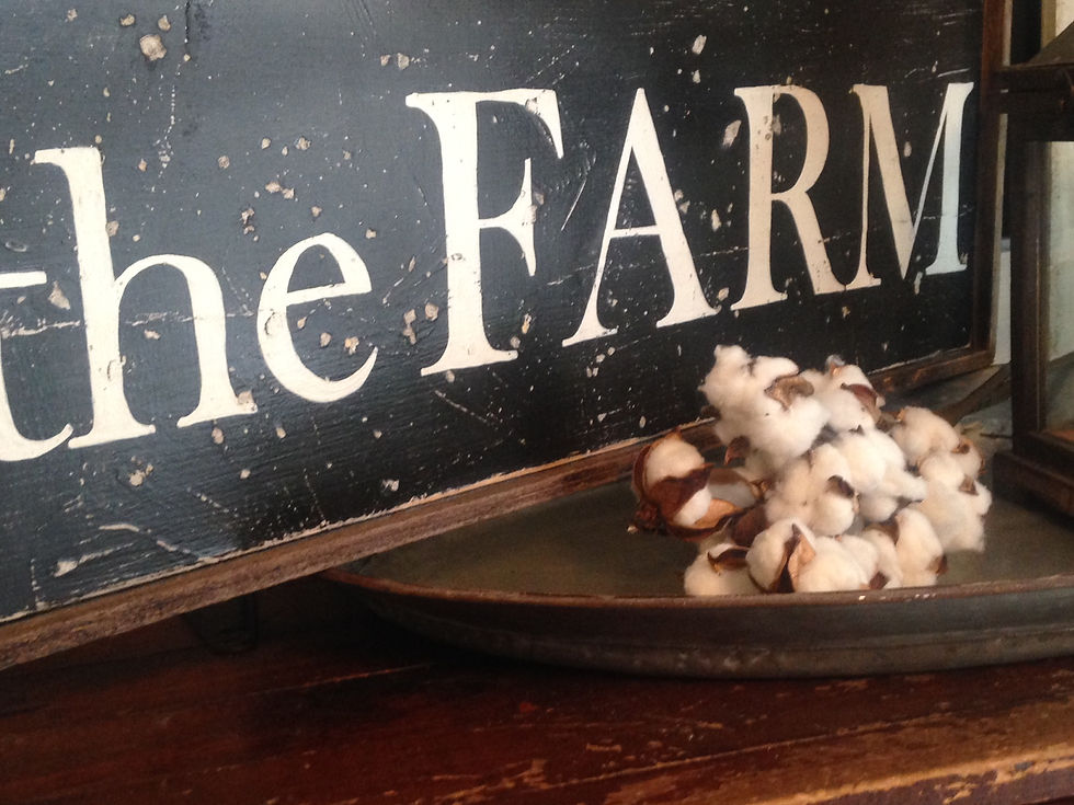 Thumbnail: The FARM sign