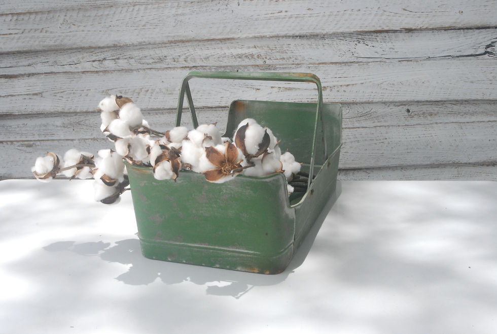 Thumbnail: Green Garden Basket