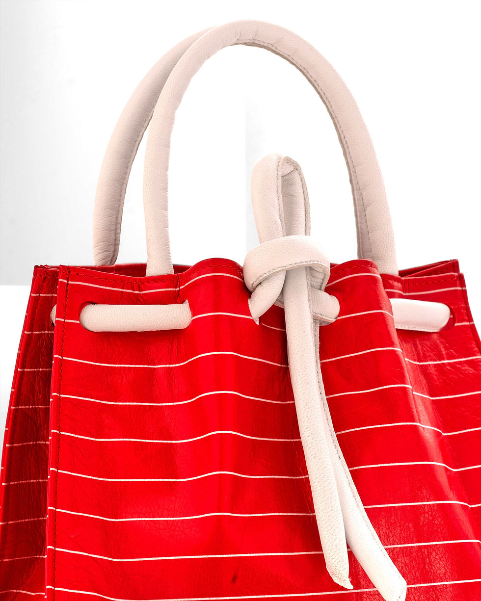 Miniatura: Borsa Modello Delfi