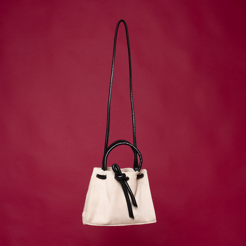 Miniatura: Borsa Modello Delfi