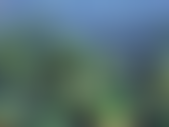 "Eutrophication: A Silent Threat to the Ecosystem" by Jaden Cho