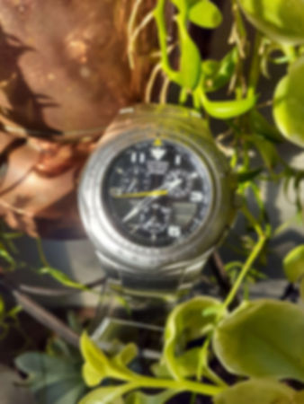 Citizen Eco Dive (Skyhawk)