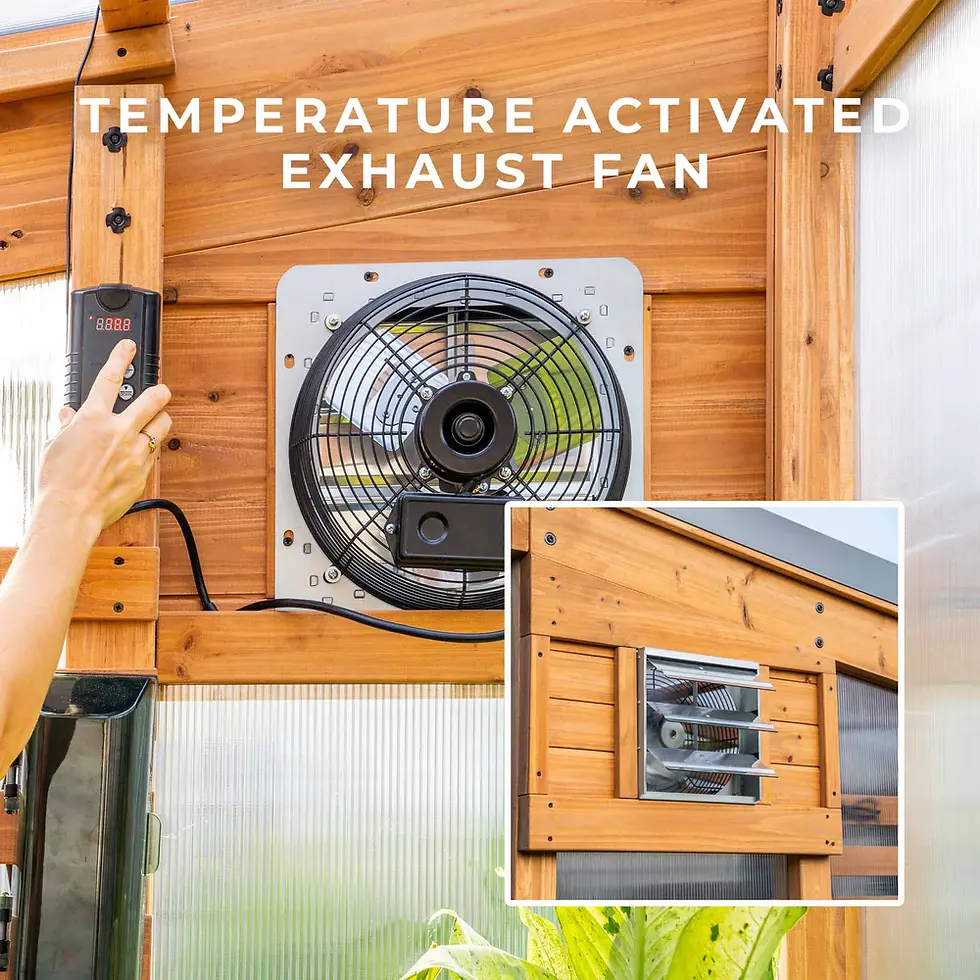 Thumbnail: 12x7 Zalie Greenhouse