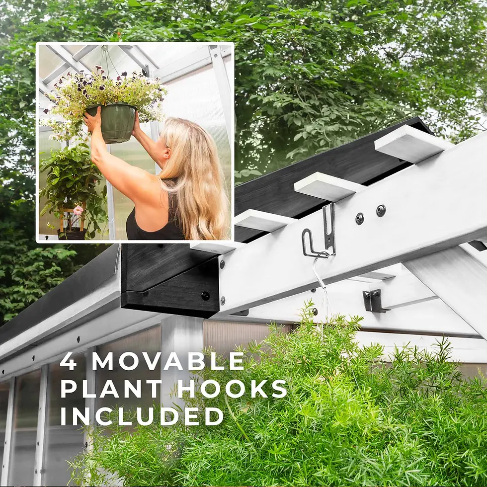 Thumbnail: White Bellerose Greenhouse 9x6