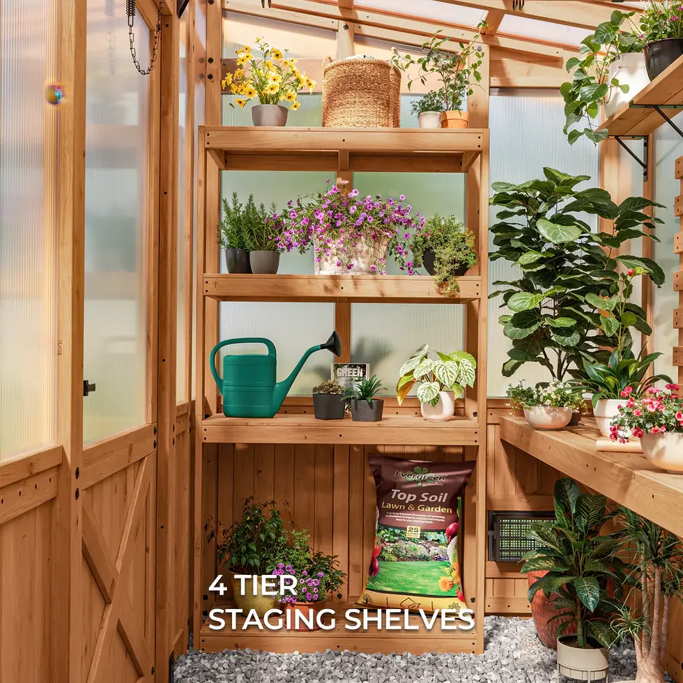 Thumbnail: Poppy Green House 9x6